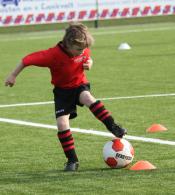 resizedimage175195-finn