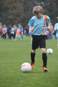 resizedimage240360-img7223-1283-x-855