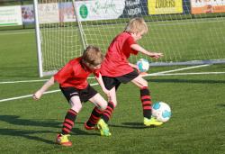 resizedimage250171-foto-eef-2