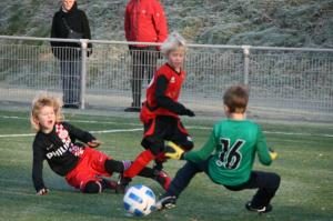 resizedimage300199-timo