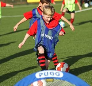 resizedimage300280-061