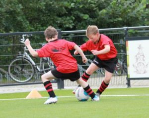 resizedimage500399-han-rijkers-2