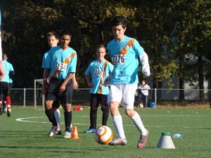 resizedimage540405-finale-1