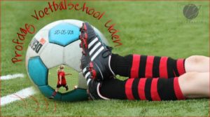 resizedimage550307-vu-profdag-20-05-2011