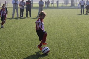 resizedimage550366-bas-kremers-1