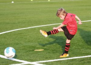 resizedimage550391-bas-kremers-2